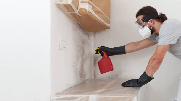 Professional Mold Testing technician working in Lexington, WA